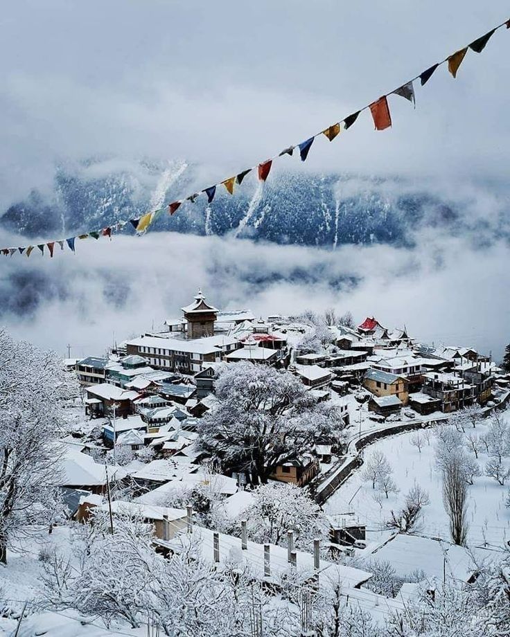 Himachal Awaits: Your Perfect Mountain Getaway Starts with Bayard